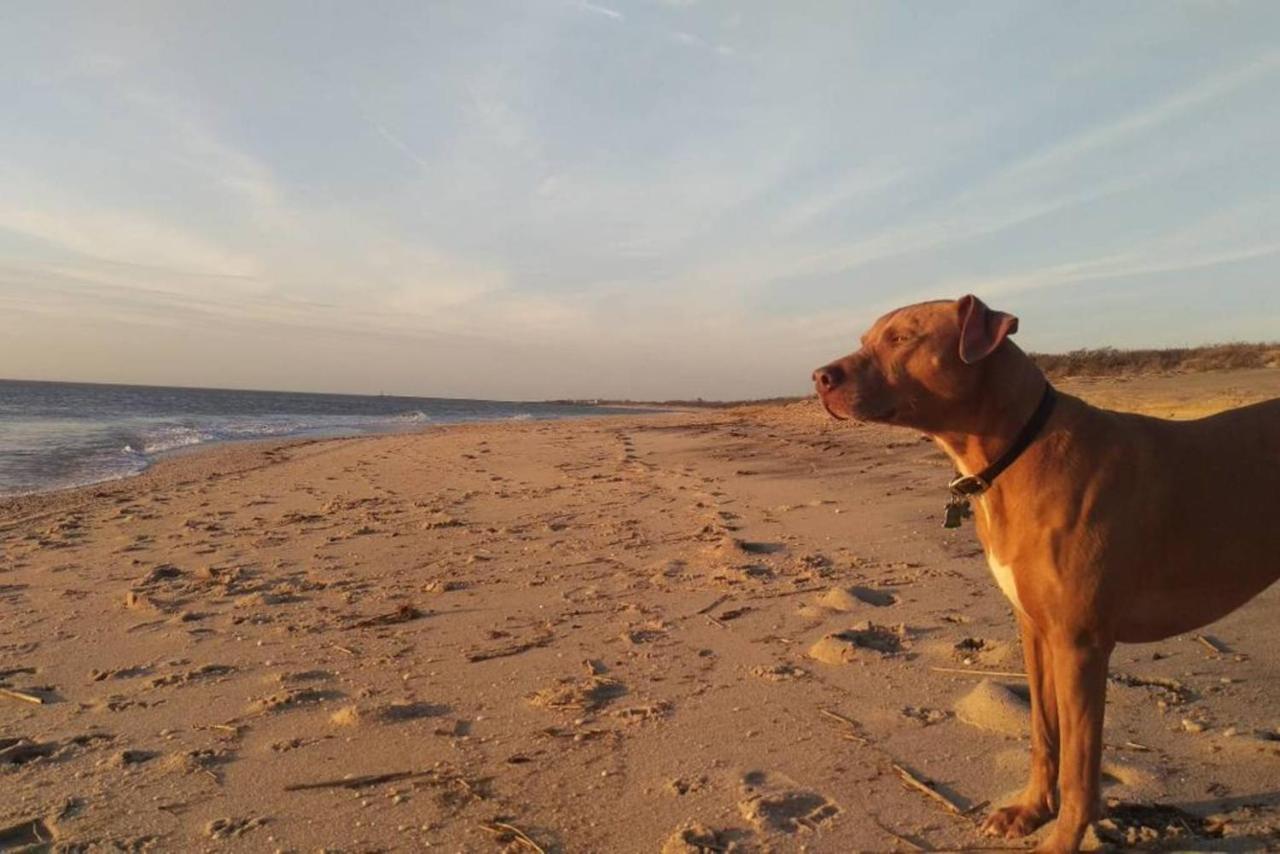 הוילה נורת' וויילדווד Wildwoof Beach Bungalow @ Nw. 3 Blocks To Beach! מראה חיצוני תמונה